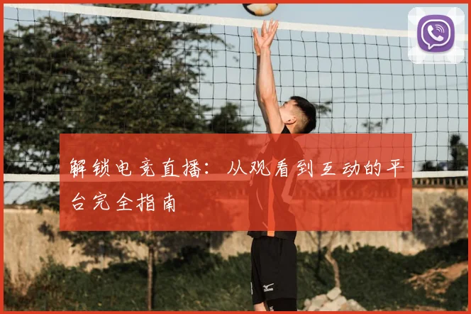 解锁电竞直播:从观看到互动的平台完全指南