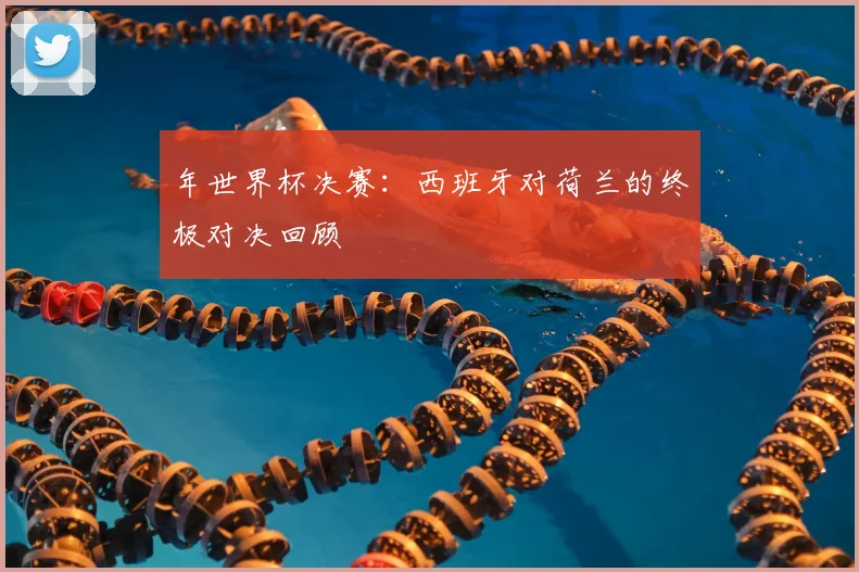 年世界杯决赛:西班牙对荷兰的终极对决回顾
